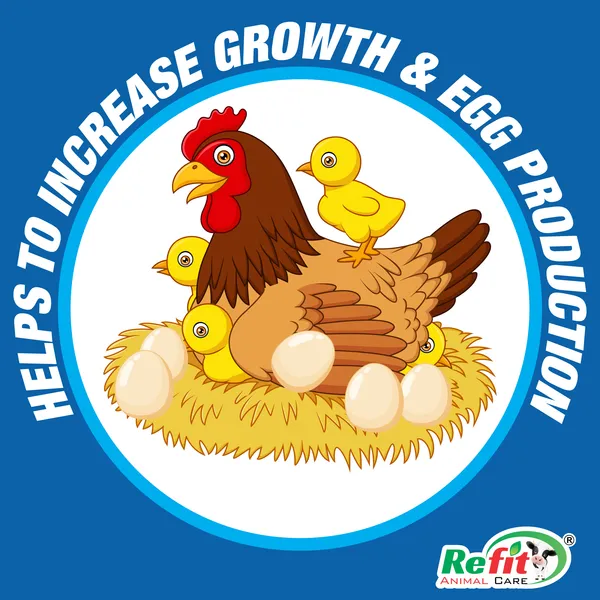 Egg_Boosting_Calcium_Granules_for_Poultry_Feed_for_Chicken,_Chicks,_Birds_and_Broilers,_EggKing_1_Kg