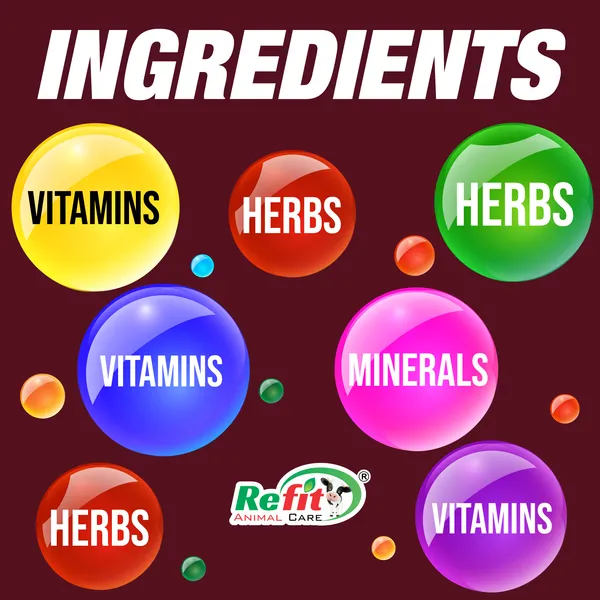 Electrolyte_Powder_Supplement_for_Poultry,_Chicks,_Broiler,_Layers,_Breeders,_Chickens_and_Grower,_Electro_1_Kg.
