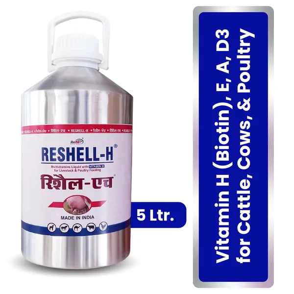 Veterinary_Vitamin_H_Supplement_for_Cow,_Cattle,_Goat,_Chicken,_Layers,_Broilers,_Poultry_and_Other_Livestock_Animals,_Reshell-H_5_Ltr.