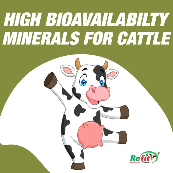 Minerals_Supplement_for_Cow,_Cattle,_and_Calf,_Fertidom_5_Kg
