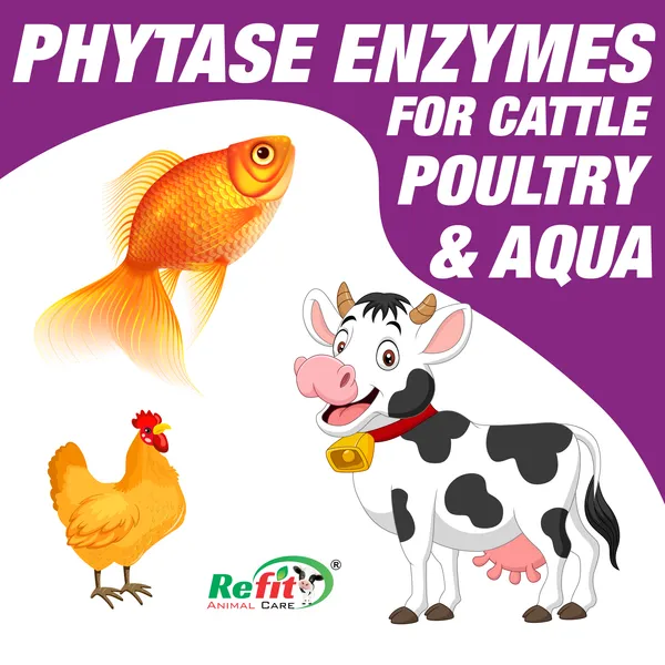 Phytase_Enzyme_Granules_Supplement_for_Cattle,_Poultry_and_Aqua_Livestock,_Fitphyte_10_Kg
