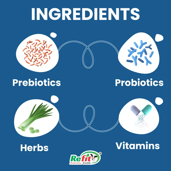 Prebiotics_and_Probiotics_Powder_for_Poultry,_Chicken,_Hen,_Chicks,_Broilers_and_Birds,_Florazone_10_Kg