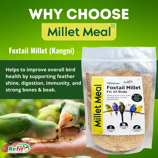 Foxtail_Millet_for_Birds,_Kangni_Seeds_for_Birds,_Millet_Meal_450_Gms_(Set_of_2_Pcs)