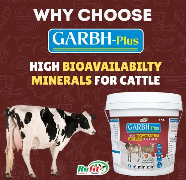High_Bioavailability_Minerals_for_Cow,_Cattle_&_Dairy_Farm_Animals,_Garbh-Plus_1_Kg