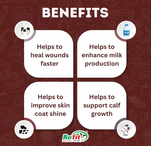 High_Bioavailability_Minerals_for_Cow,_Cattle_&_Dairy_Farm_Animals,_Garbh-Plus_1_Kg