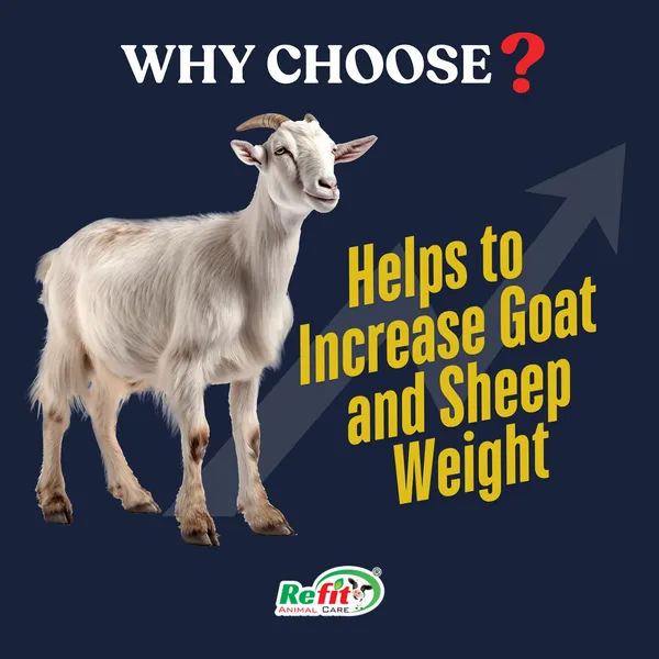 Goat_Weight_Gain_Supplement_and_Growth_Promoter,_Gro_Mass_5_Ltr