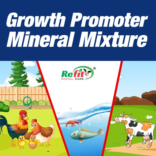 Mineral_Mixture_Powder_for_Cow,_Cattle,_Poultry,_Fish_and_Aqua,_Grotone_Forte_20_Kg.
