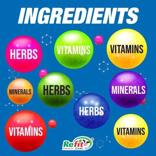 Calf_Growth_Powder_Supplement_for_Livestock_and_Other_Dairy_Farm_Animals,_Heif_Grow_1_Kg.