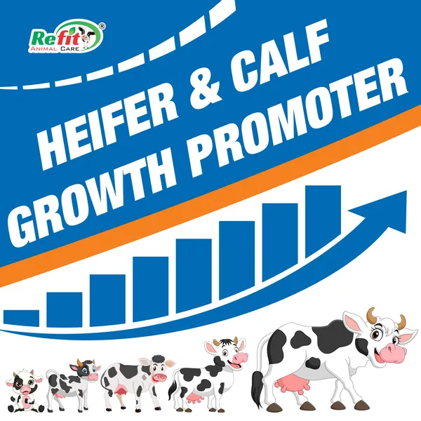 Calf_Growth_Powder_Supplement_for_Livestock_and_Other_Dairy_Farm_Animals,_Heif_Grow_20_Kg.
