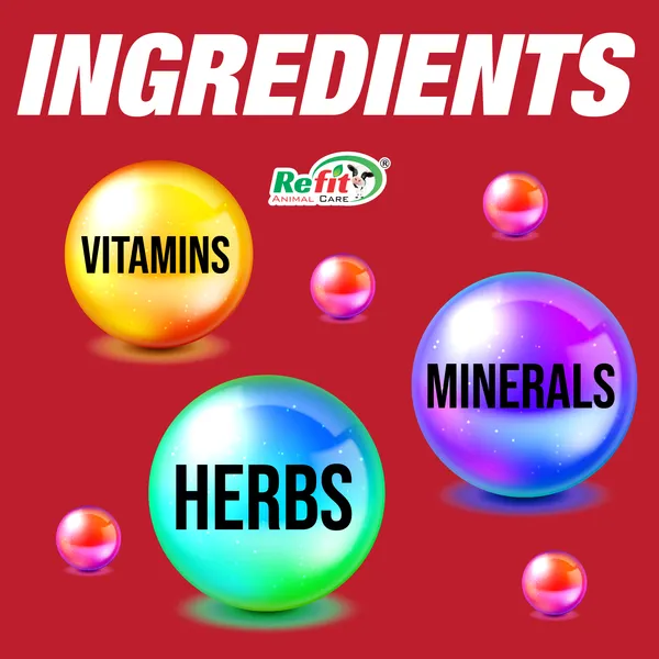 Iron_Enriched_Liver_Tonic_Supplement_for_Cow,_Cattle,_Poultry_and_Other_Livestock,_Hemliv+_2_Ltr.