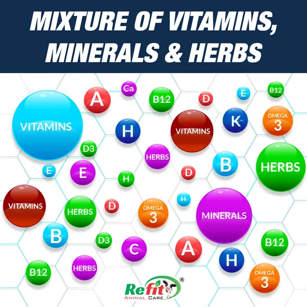 Chelated_Mineral_Mixture_for_Cow,_Cattle,_Buffalo,_Goat,_Chicken,_Broilers,_Poultry_Livestock_Animals,_Rigmin_Forte_1_Kg_Pouch_(Set_of_2_Pcs)