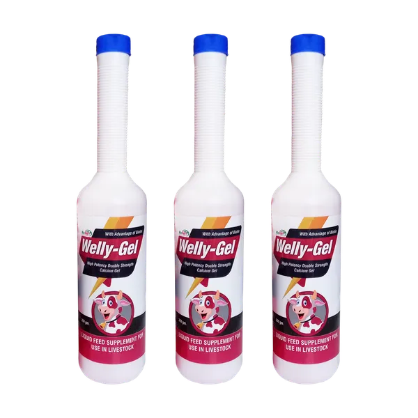Veterinary_Calcium_Gel_for_Cattle,_Cows_&_Buffalo,_Welly_Gel_300_gms._(Set_of_3_Pcs)