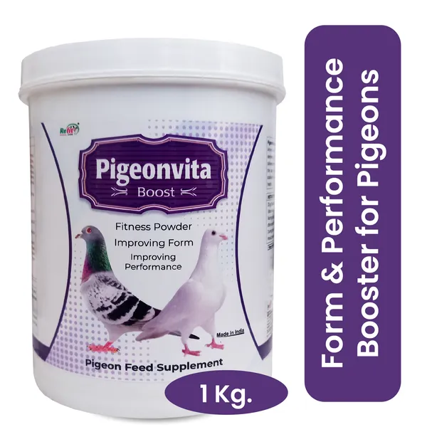 Fitness_Powder_Performance_supplement_Pet_Health_Supplements,_Pigeonvita_Boost_1_Kg.