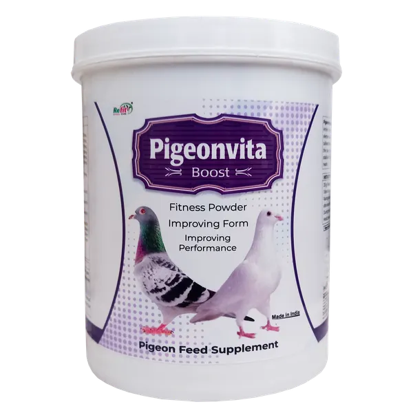 Fitness_Powder_Performance_supplement_Pet_Health_Supplements,_Pigeonvita_Boost_1_Kg.