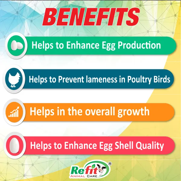 Supplement_for_Lameness_in_Chickens,_Chicks,_Hen,_Birds,_Broilers_and_Poultry,_Lam_Tone_1_Ltr.