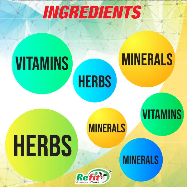 Supplement_for_Lameness_in_Chickens,_Chicks,_Hen,_Birds,_Broilers_and_Poultry,_Lam_Tone_1_Ltr.