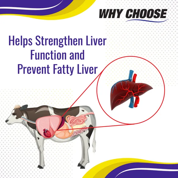 Ideal_Liver_Tonic_Supplement_for_Cattle,_Poultry,_Sheep,_Goats_&_Swine,_Metarol_1_Ltr.
