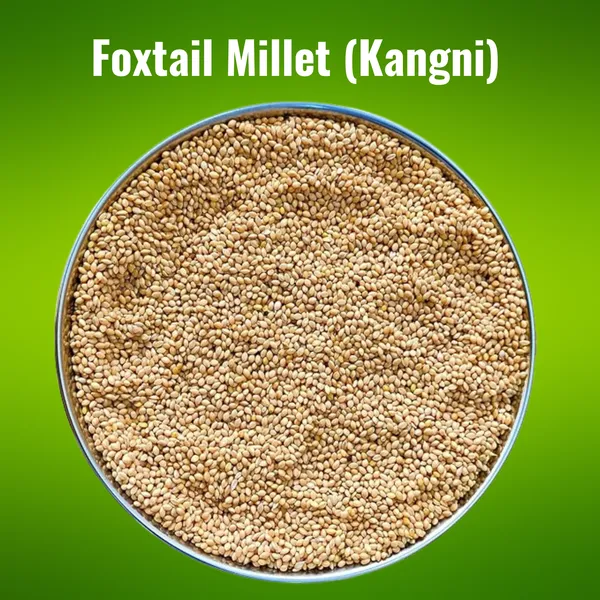 Foxtail_Millet_for_Birds,_Kangni_Seeds_for_Birds,_Millet_Meal_450_Gms_(Set_of_4_Pcs)