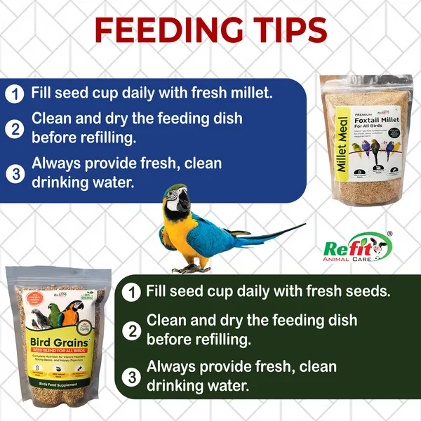 Bird_Food_Combo_Pack_Seed_Mix_(450g)_+_Foxtail_Millet_450g