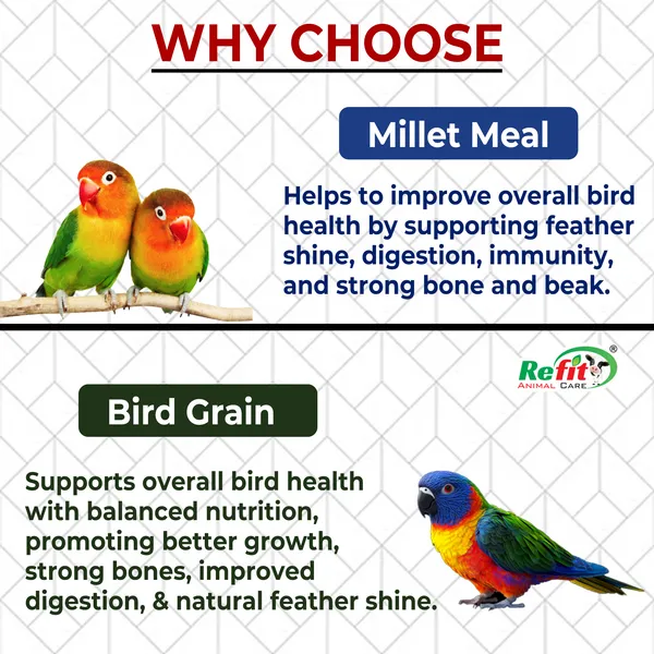Bird_Food_Combo_Pack_Seed_Mix_(450g)_+_Foxtail_Millet_450g