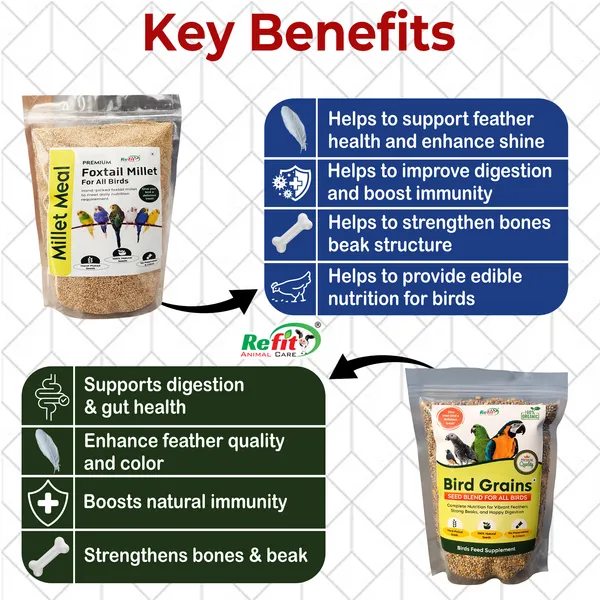 Bird_Food_Combo_Pack_Seed_Mix_(450g)_+_Foxtail_Millet_450g