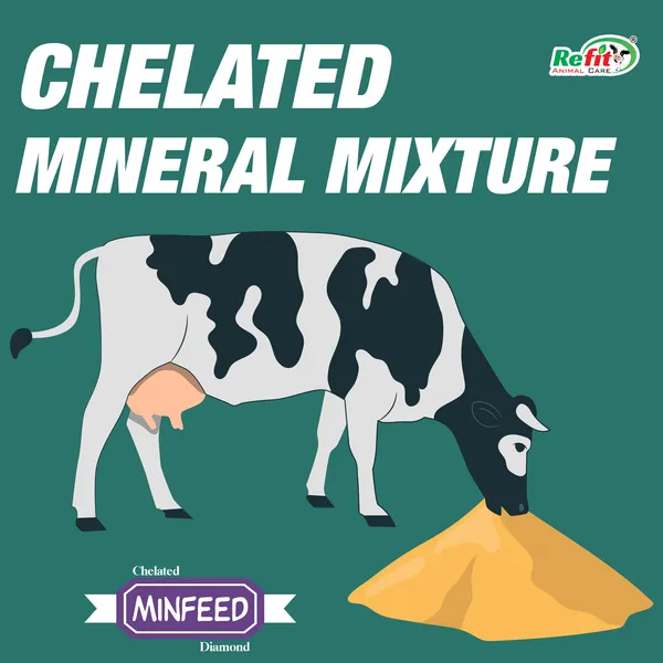 Chelated_Mineral_Mixture_for_Cow,_Buffalo,_Cattle,_Goat,_Sheep_&_Poultry,_Minfeed_20_Kg