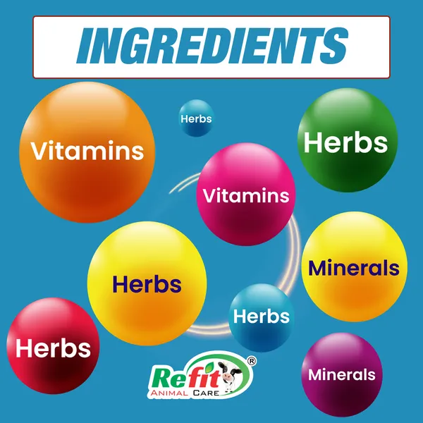 Nephrocare_Liquid_Supplement_for_Poultry,_Chicken,_Chicks,_Hens_and_Birds,_Nephitone_1_Ltr