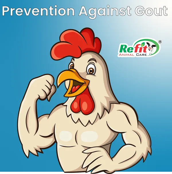 Nephrocare_Liquid_Supplement_for_Poultry,_Chicken,_Chicks,_Hens_and_Birds,_Nephitone_1_Ltr