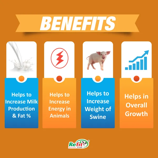 Swine_Weight_Gainer_and_Repeat_Breeding_Treatment_in_Cattle,_Omega-20_Powder_500_gm