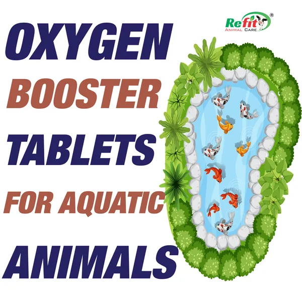 Oxygen_Releasing_Tablets_for_Aquaculture_Farming,_Pond,_Tank_and_Aquarium,_OXYFORTE_TABLETS_10_KG