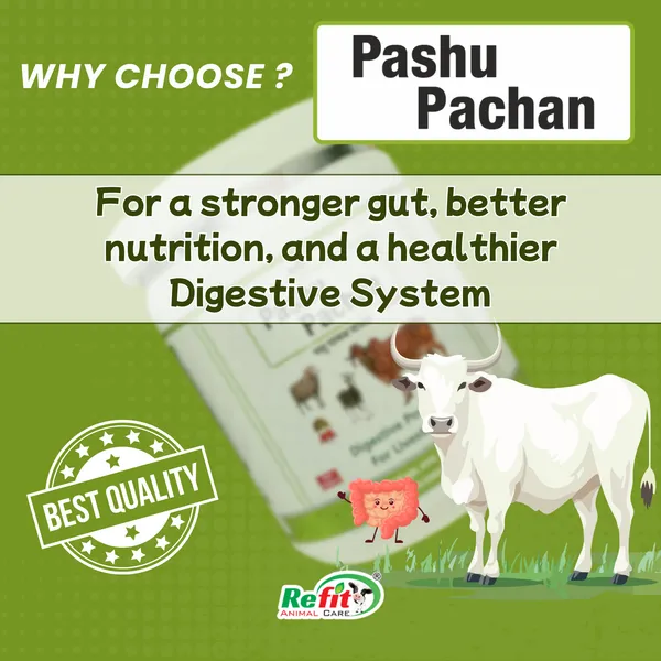 Digestive_Powder_for_Cow,_Buffalo,_Cattle,_Sheep,_Goat,_Calf,_Heifer,_Pig,_Horse_and_Livestock_Animals,_Pashu_Pachan_Powder_250_Gms