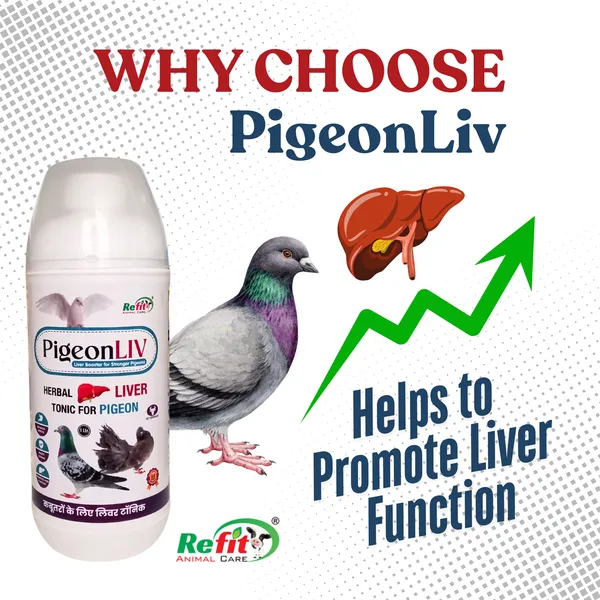 Herbal_Liver_Tonic_for_Pigeons,_PigeonLiv_1_Ltr.