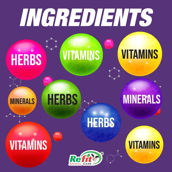 Fitness_Powder_Performance_supplement_Pet_Health_Supplements,_Pigeonvita_Boost_10_Kg