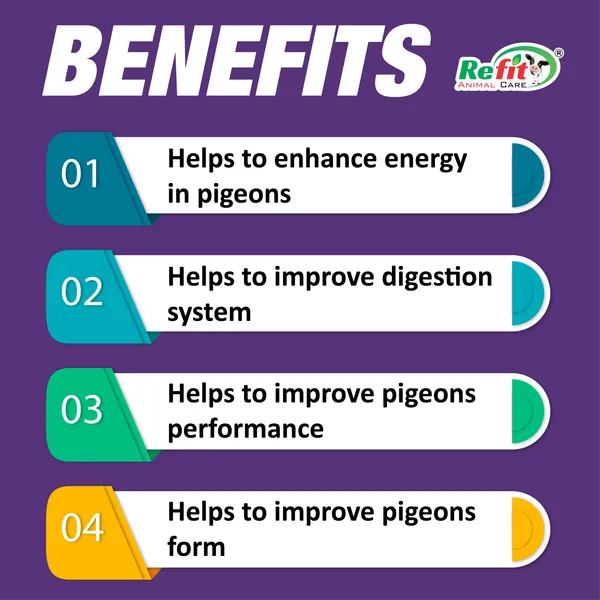Fitness_Powder_Performance_supplement_Pet_Health_Supplements,_Pigeonvita_Boost_10_Kg