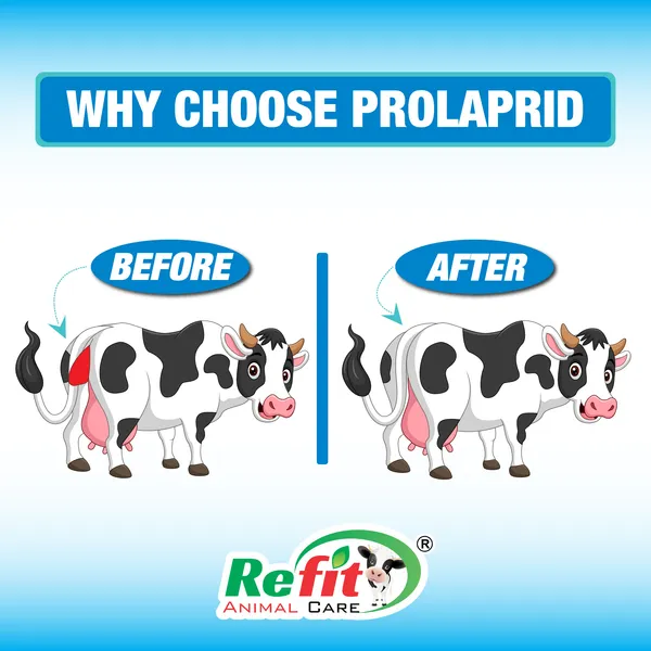 Veterinary_Prolapse_Powder_for_Cow,_Cattle_Buffalo_and_Farm_Animals,_Prolaprid_500_gms.