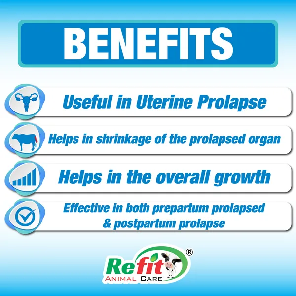 Veterinary_Prolapse_Powder_for_Cow,_Cattle_Buffalo_and_Farm_Animals,_Prolaprid_500_gms.