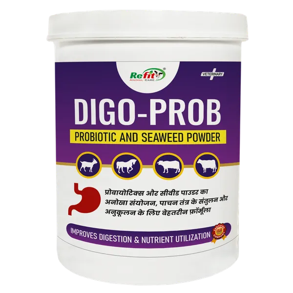 Probiotics_and_Seaweed_Powder_for_Cattle,_Cow,_Buffalo,_Sheep,_Horse_and_Livestock,_Digo_Prob_1_Kg
