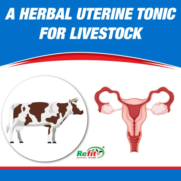 Veterinary_Herbal_Uterine_Tonic_for_Cow,_Cattle,_Sheep,_Goat,_Pigs,_Buffalo,_Dr._Uterine_500_ml.