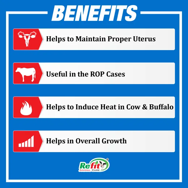 Veterinary_Herbal_Uterine_Tonic_for_Cow,_Cattle,_Sheep,_Goat,_Pigs,_Buffalo,_Dr._Uterine_500_ml.