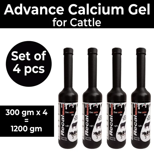 Veterinary_Calcium_Gel_Supplement_for_Cattle,_Cow,_Buffalo_&_Livestock,_Recal_Gel_Advance_Gel_300_Gms_(Set_of_4_Pcs)