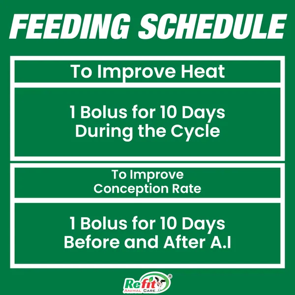 Veterinary_Heat_Inducer_Bolus_for_Cows,_Buffalo_and_Cattles,_Refertile_20_Bolus_Pack