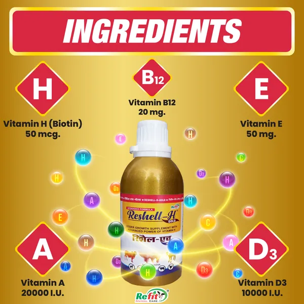 Veterinary_Vitamin_H_Supplement_for_Cow,_Cattle,_Goat,_Chicken,_Layers,_Broilers,_Poultry_and_Other_Livestock_Animals,_Reshell-H_GOLD_250_ml.