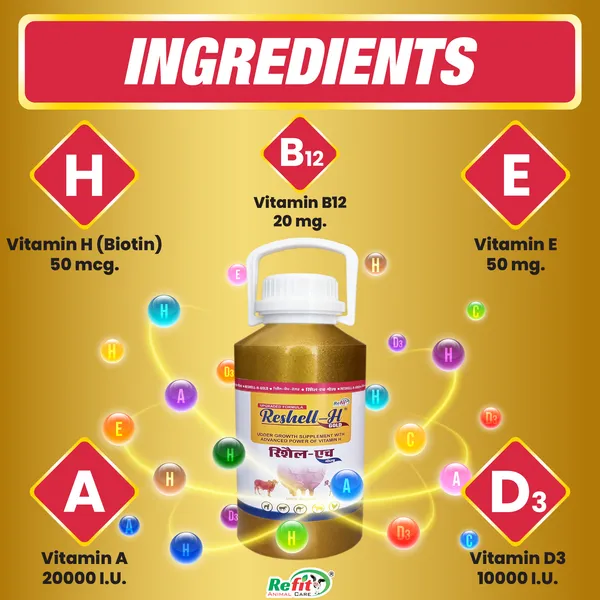 Veterinary_Vitamin_H_Supplement_for_Cow,_Cattle,_Goat,_Chicken,_Layers,_Broilers,_Poultry_and_Other_Livestock_Animals,_Reshell-H_GOLD_2.5_Ltr