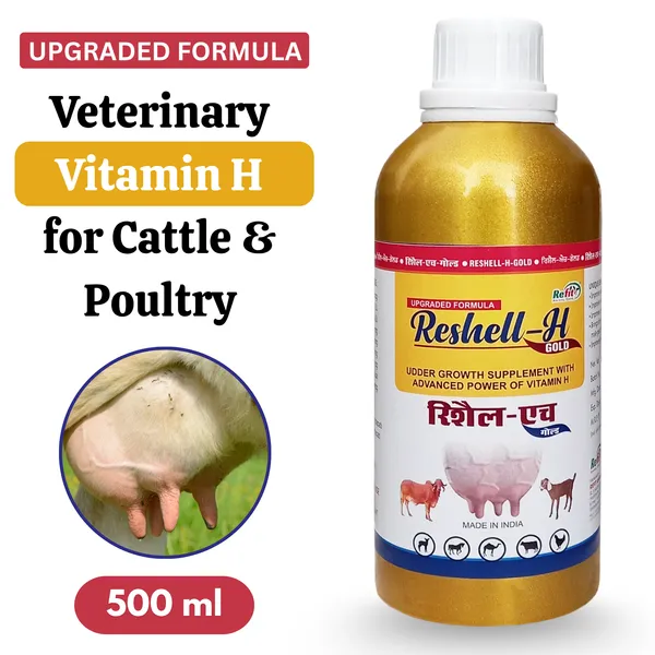 Veterinary_Vitamin_H_Supplement_for_Cow,_Cattle,_Goat,_Chicken,_Layers,_Broilers,_Poultry_and_Other_Livestock_Animals,_Reshell-H_GOLD_500_ml