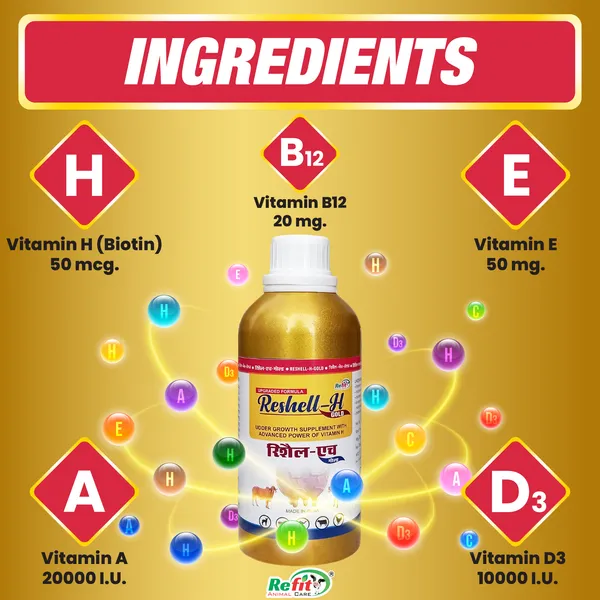 Veterinary_Vitamin_H_Supplement_for_Cow,_Cattle,_Goat,_Chicken,_Layers,_Broilers,_Poultry_and_Other_Livestock_Animals,_Reshell-H_GOLD_500_ml