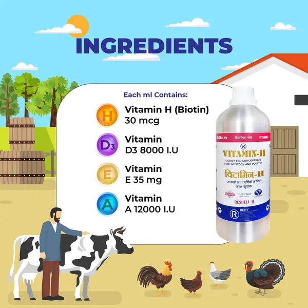 Vitamin_H_Supplement_for_Cow,_Cattle,_Buffalo,_Goat,_Chicks,_Chicken,_Poultry_and_Livestock_Animals,_Reshell-H_(Lite)_1_Ltr_(Set_of_2_Pcs)