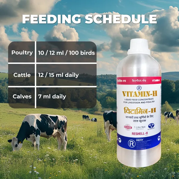 Vitamin_H_Supplement_for_Cow,_Cattle,_Buffalo,_Goat,_Chicks,_Chicken,_Poultry_and_Livestock_Animals,_Reshell-H_(Lite)_1_Ltr_(Set_of_4_Pcs)