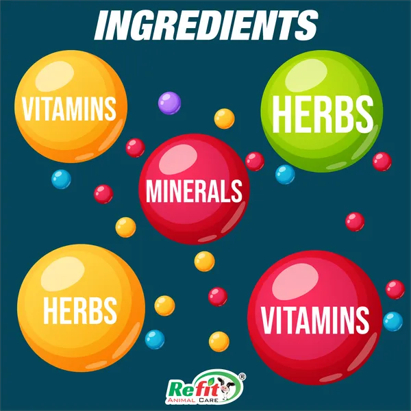 Veterinary_Multivitamin_Supplement_for_Cow,_Cattle,_Chicks,_Chicken,_Birds,_Poultry_and_Other_Dairy_Livestock_Animals,_Revita-B12_1_Ltr.