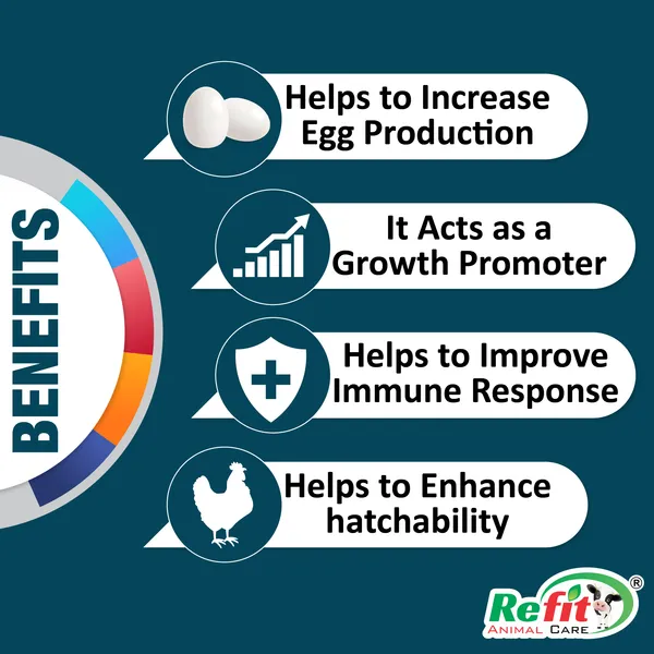 Veterinary_Multivitamin_Supplement_for_Cow,_Cattle,_Chicks,_Chicken,_Birds,_Poultry_and_Other_Dairy_Livestock_Animals,_Revita-B12_1_Ltr.