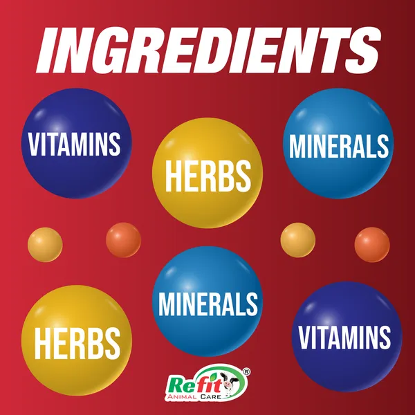 Herbal_Liver_Tonic_For_Cow,_Cattle,_Goat_&_Poultry,_Rivliv_1_Ltr._(Set_of_2_Pcs)